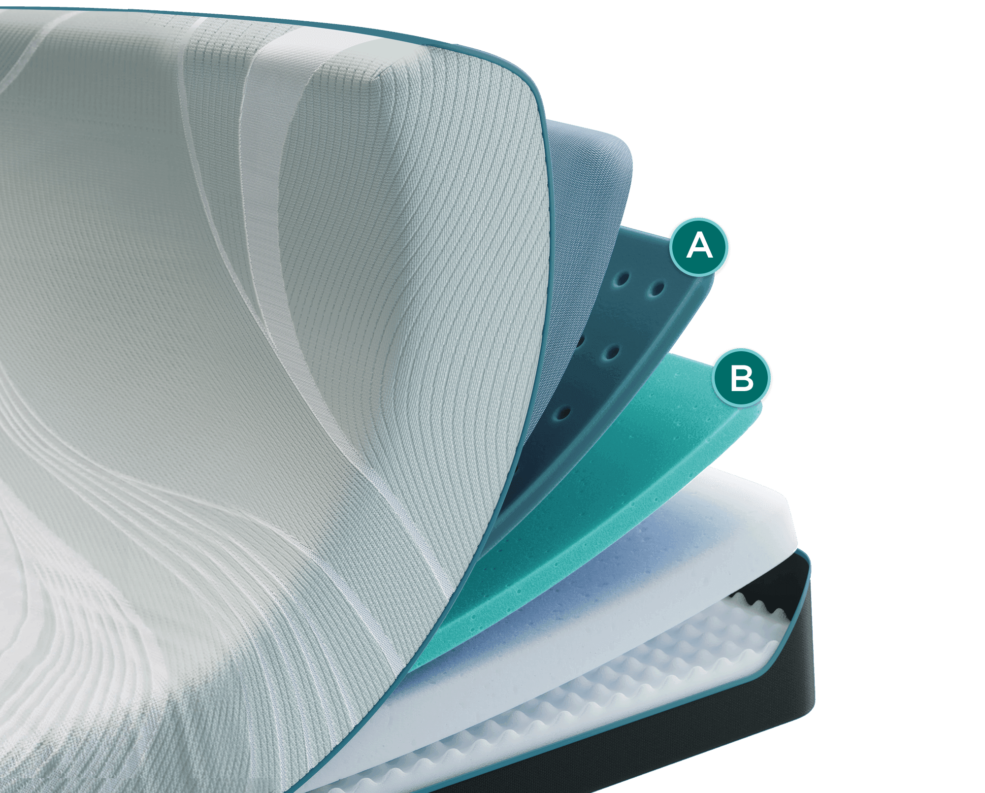 ProAdapt_Soft_Layers
