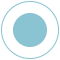 a light blue circle icon